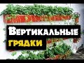 Вертикальные грядки своими руками