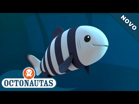 Vídeo: O que significa o peixe piloto?