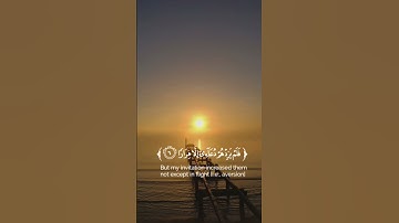 {قرآن كريم سورة نوح}القارئ ماهر المعيقلي♡
