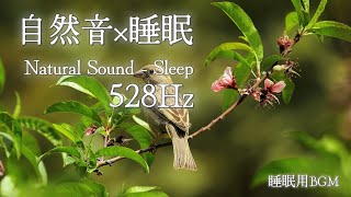 自然音(小鳥のさえずり)×睡眠 Natural Sound  Sleep 528Hz