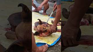 Butcher Struggle To Cut The Pork's Head by Cats Reporter 1,727 views 1 year ago 3 minutes, 1 second