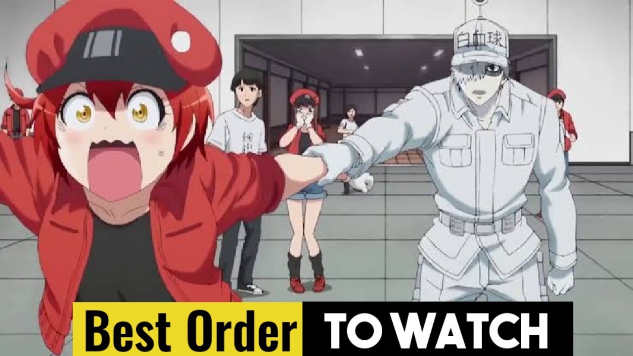 How To Watch Cells at Work in The Right Order! 