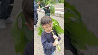 Download Lagu MAHESSA NYARI DOMBA #myshamahessa #funny #trendingshorts #fyp #viral #family MP3 Download Lagu MAHESSA NYARI DOMBA #myshamahessa #funny #trendingshorts #fyp #viral #family MP3