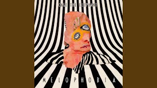 Video thumbnail of "Cage The Elephant - Spiderhead"