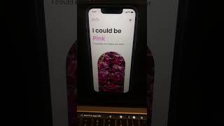 Designing a color fruit app in Figma #shorts #figma #figmadesign #uidesign #vlogmas6 screenshot 5