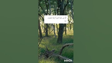 سورة العنكبوت من الآية 56 إلى الآية 58#تلاوات_هادئة#سورة_العنكبوت#