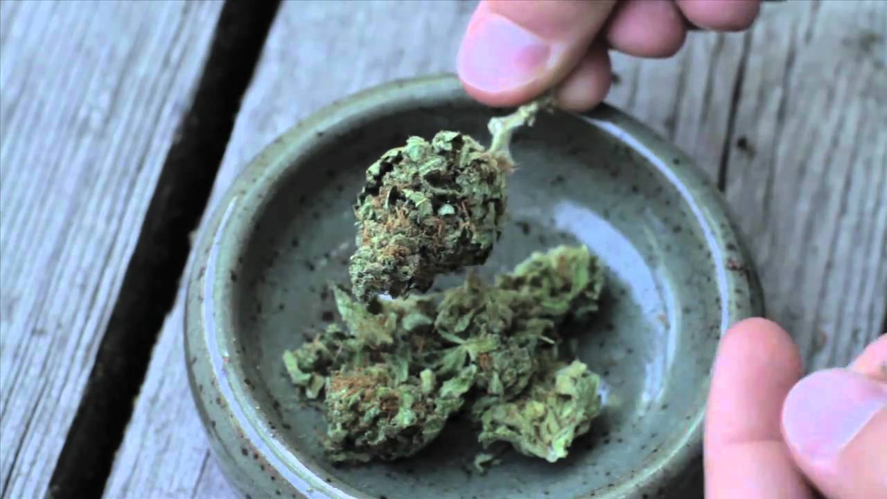 Strains and Sessions 1