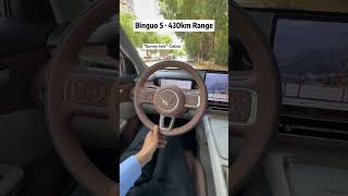 Avoid Chinese EV traps! Is Wuling Bingo S430 base trim a rip-off? How much can you save a year?