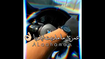 محدش ليه خير عليا رضا البحراوي 