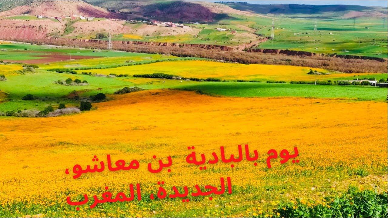 Countryside day, Ben maachou ( Morocco). يوم بالبادية، بن معاشو ( المغرب)