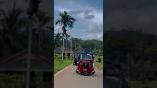 ?treewill lovers ?WhatsApp status  shortvideo tuktuk modified srilankan ?️Thevehicleclub ??