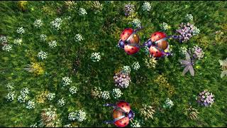 Interactive Floor Games, Interactive Floor Projection-Insect mobilization