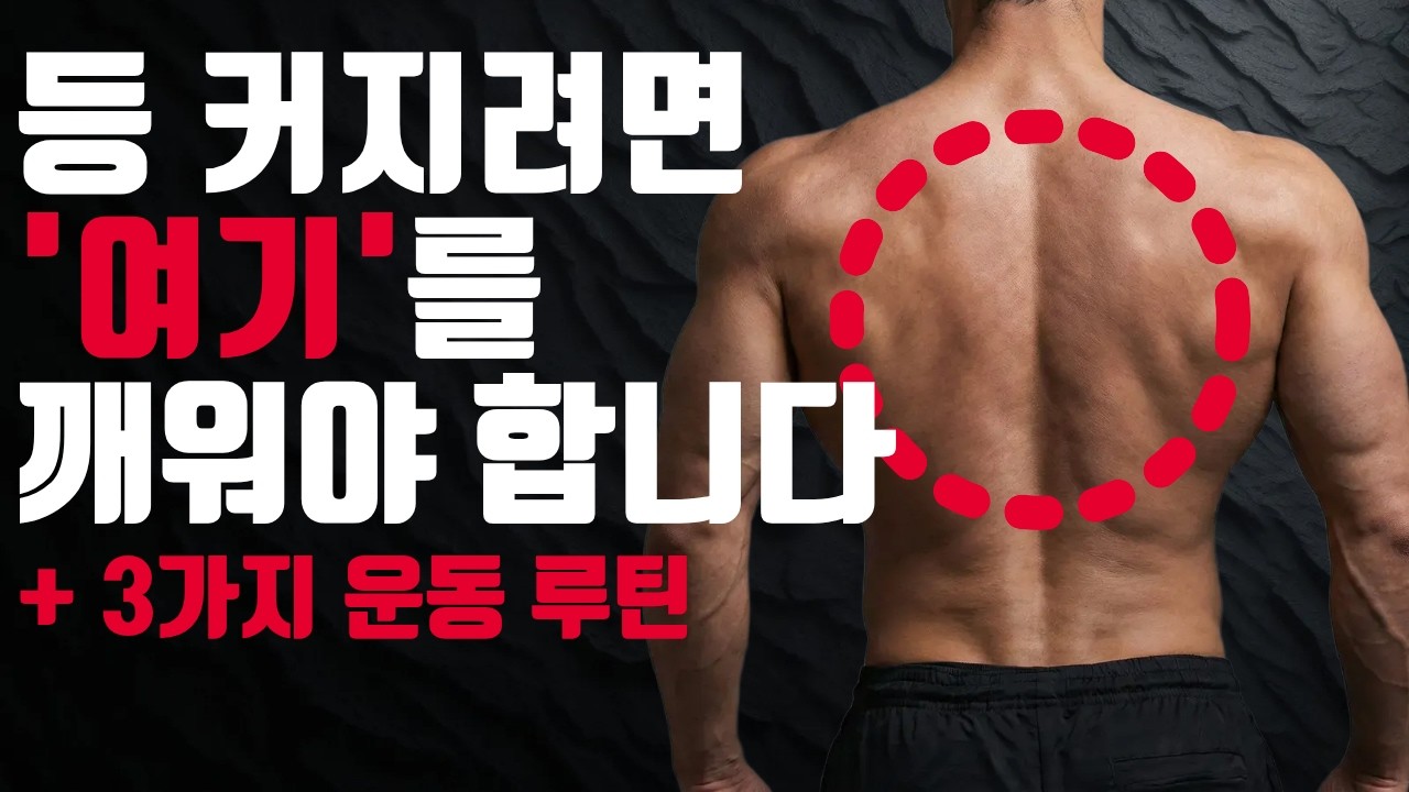 1 죽어라 등운동 해도 등이 커지지 않았던 이유와 해결방법 3가지 part.1