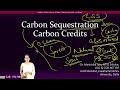 Carbon Sequestration &amp; Carbon Credits | UGC Environmental Science @ doorsteptutor.com