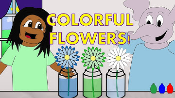 Fun Science Experiments for Kids - Colorful Flowers!