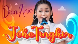 JOKO TINGKIR || DIAN ANIC VERSI JM NADA