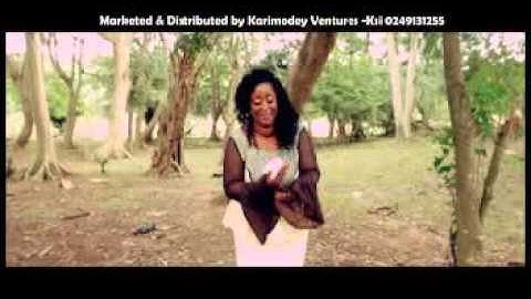 vlc record 2016 03 31 11h28m05s AVSEQ01 DAT