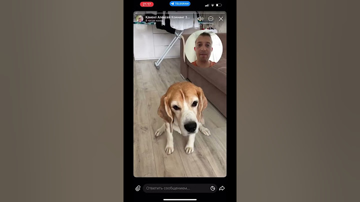 Фишки телеграмм , telegram , сторис в мессенджере #телеграм #стори #фишки #лайфхак #а4 #конор