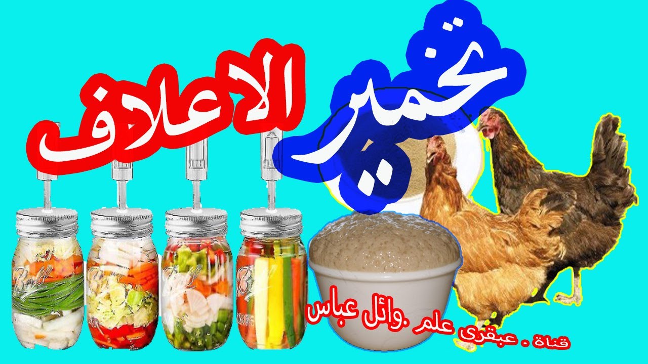 الأعلاف المخمرة: ثورة في تغذية المستقبل وصحة العالم .لتحقيق التغذية المستدامة .قناة عبقرى علم