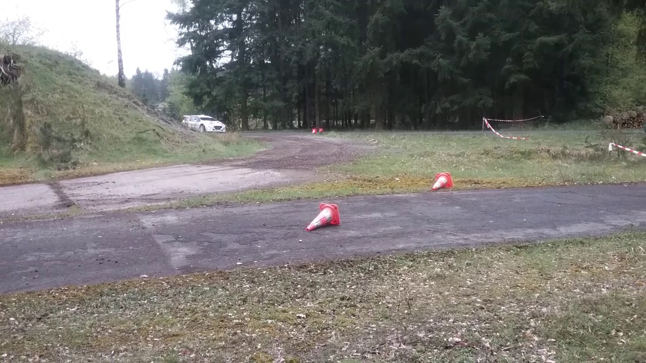 Phillip Knof Romo Peugeot Deutschland 208 T16 IVG Gelände Rallye Sulingen 2017