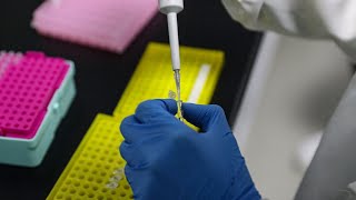 Vaccin contre la grippe : un million de seringues produites par jour, à base d'œufs de poules