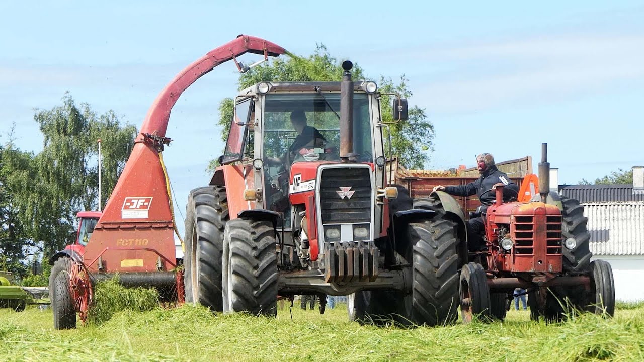 Massey Ferguson 2640 in the field chopping grass w/ JF Forage Harvester | DK Agriculture