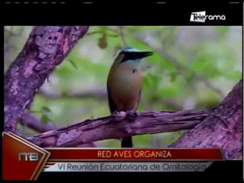 Red Aves organiza VI reunión ecuatoriana de Ornitología