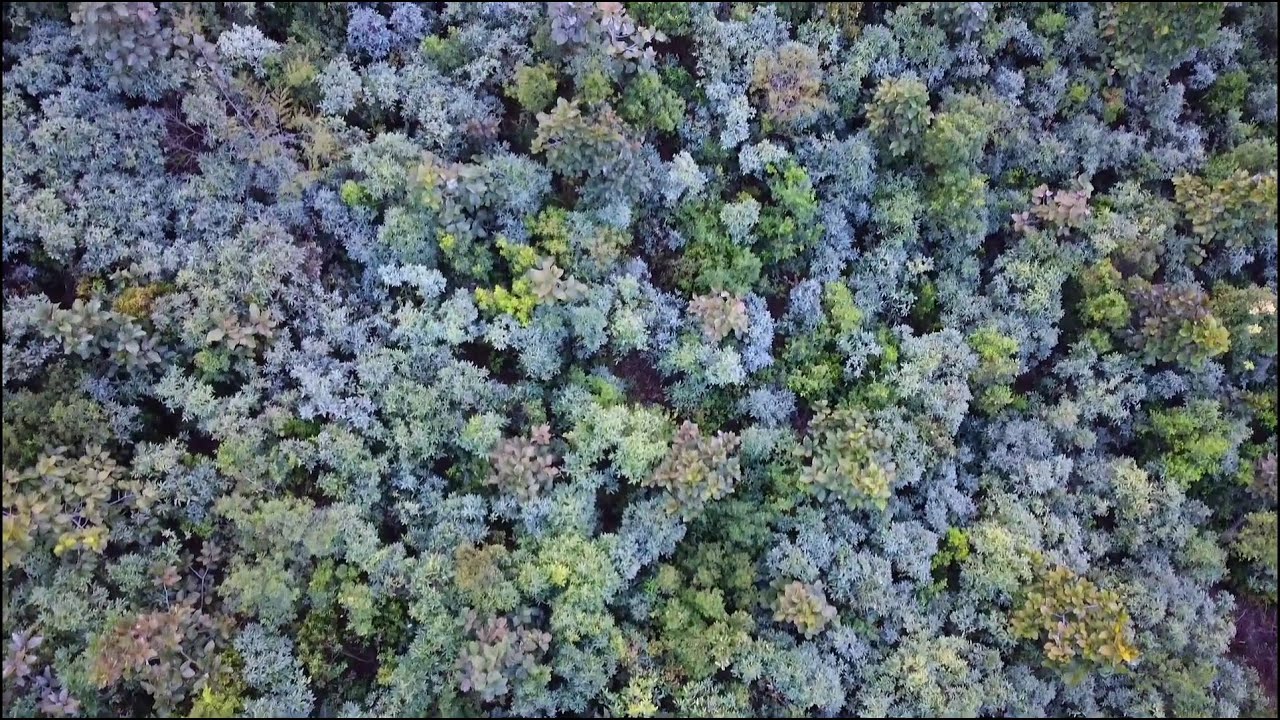 Kakching Lamkhai Drone View View World