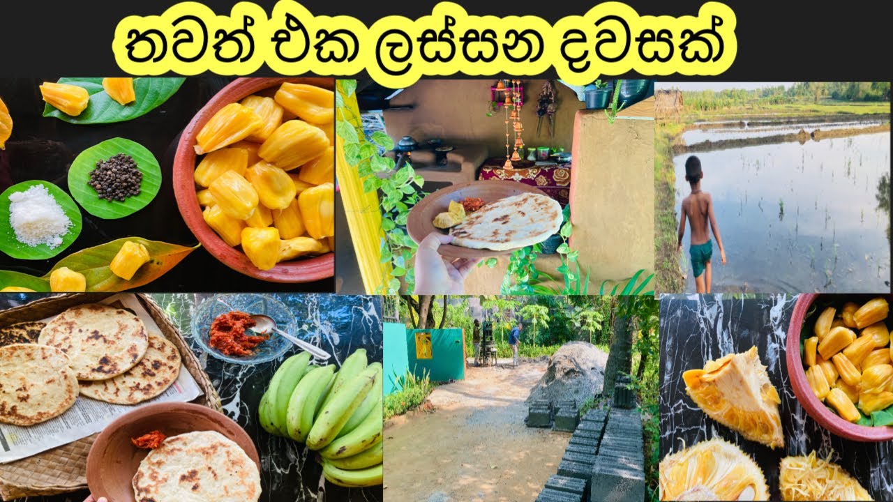ආසම කෑම එක්ක තවත් දවසක් | Another day in my life | My diary day vlogs | vlogger #lifestylevlog