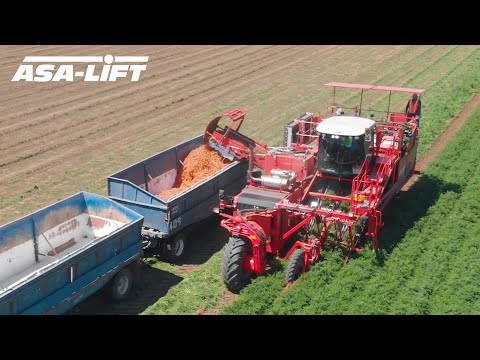 Video: Harvesting Carrots