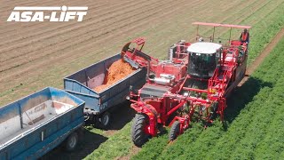 Carrot harvesting | SP-400CFH