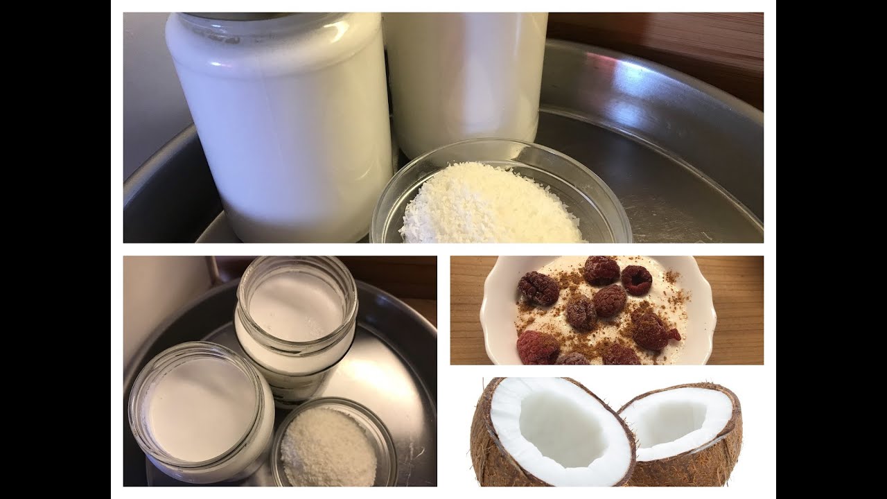 Kokosmilch, Kokossahne, Kokosjoghurt einfach und günstig selber machen - YouTube
