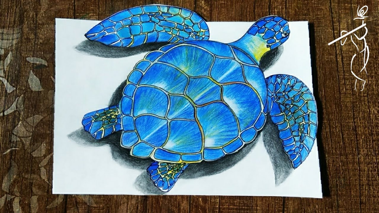 How to draw 3d Turtle step by step || 3D Drawing with pencil || How To ...