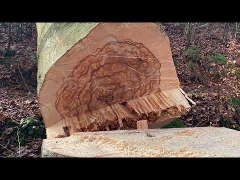 Cut a big