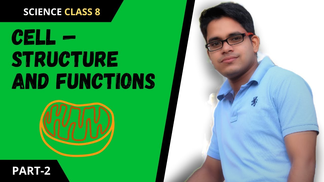 Cell Structure and Functions Full Chapter Class 8 science | NCERT ...