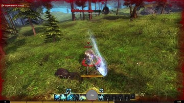 Guild Wars 2 - Guardian Weapon Skill Animations