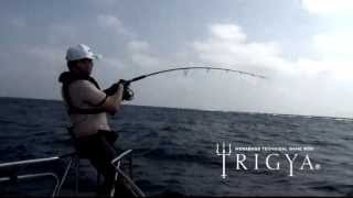 Megabass TRIGYA Series: ICMルアーフィッシングクラブ