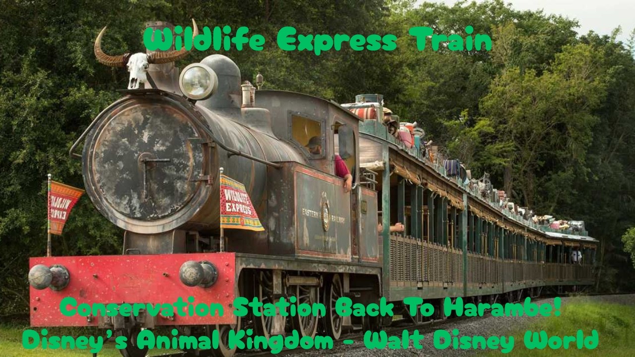 Wildlife Express - Conservation Station Back To Harambe - Disney's Animal Kingdom - WDW