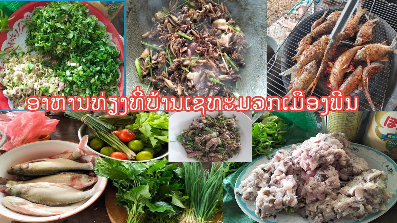 ມາກິນປາທີ່ ບ້ານເຊທະມວກ ເມືອງພີນ
