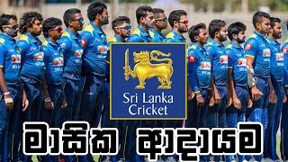 Sri Lanka Cricket Monthly Income | Earnings  monthly revenue Youtube earnings