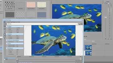 Sony Vegas Pro 10: 2D to 3D Picture Animation