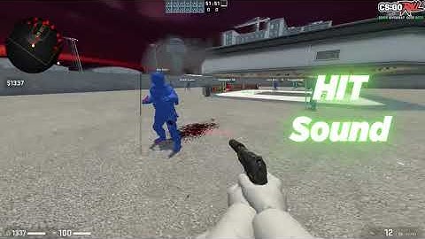 CUSTOM MODELS GIVE ME 50 FRAGS | EXITIUM | CSGO PRIME CHEATING |