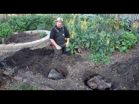 Video: Cum să răsturnați pământul dur?