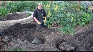 Crazy Gardening Trick To Dig Holes In Hard Soil And Condition The Earth