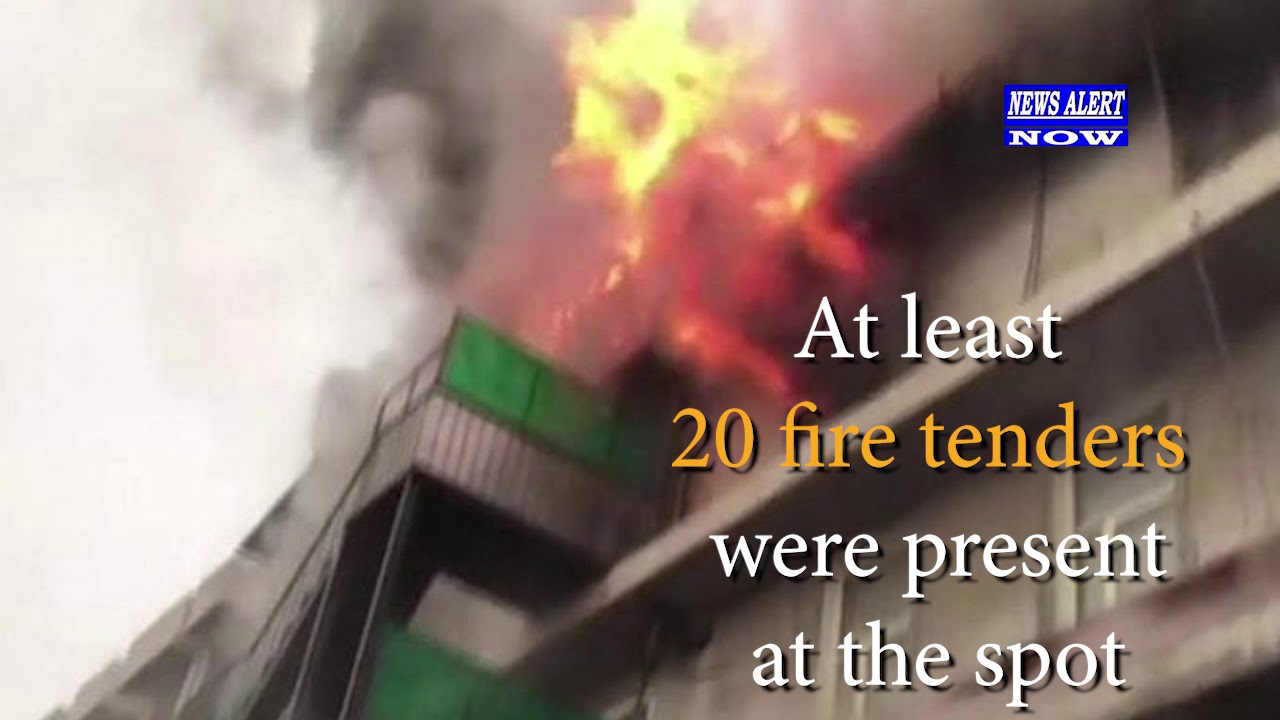 Watch Video: Major Fire at Factory in Naraina Industrial Area in Delhi
