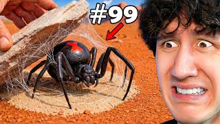 Flipping 100 Rocks in Australia and Found This...