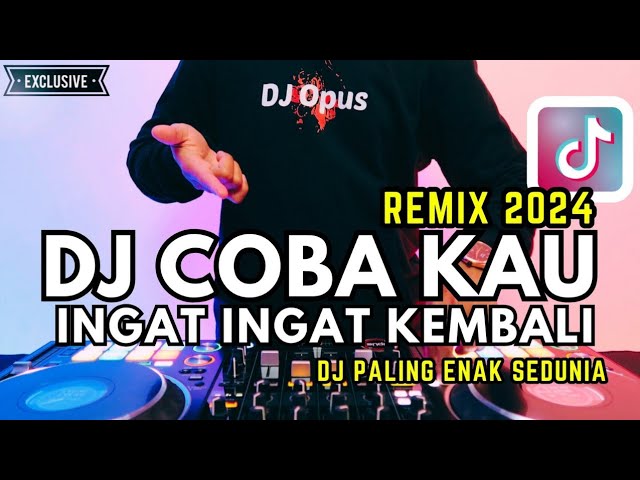 DJ COBA KAU INGAT INGAT KEMBALI REMIX 2024 PALING ENAK SEDUNIA class=
