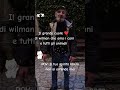 Wilman ama  tutti gli animali #live #dog#cani