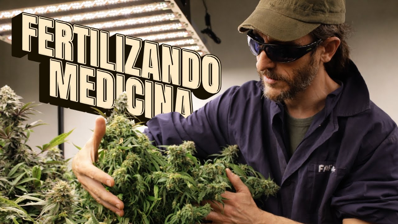 Cannacare por dentro: manejo del cultivo y nutrición con Namasté