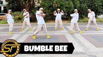 BUMBLE BEE ( Dj Gibz Remix ) - Dance Trends | Dance Fitness | The South Force